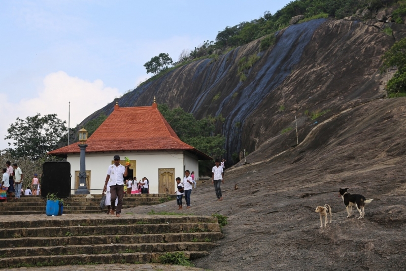 21 день по Шри-Ланке на машине