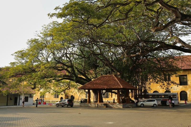21 день по Шри-Ланке на машине