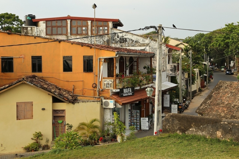 21 день по Шри-Ланке на машине