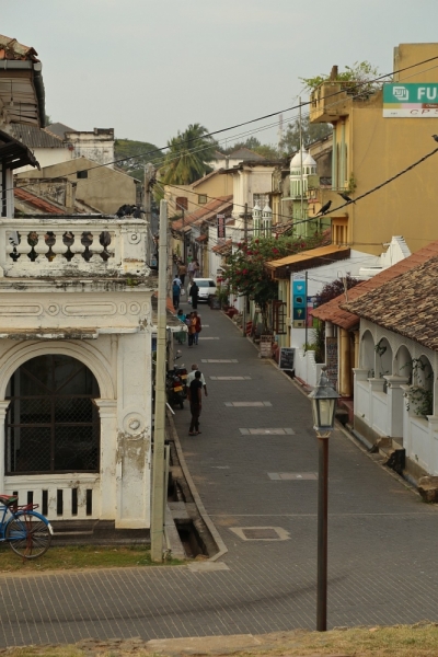 21 день по Шри-Ланке на машине