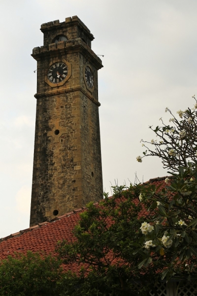 21 день по Шри-Ланке на машине