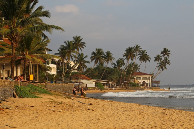 21 день по Шри-Ланке на машине