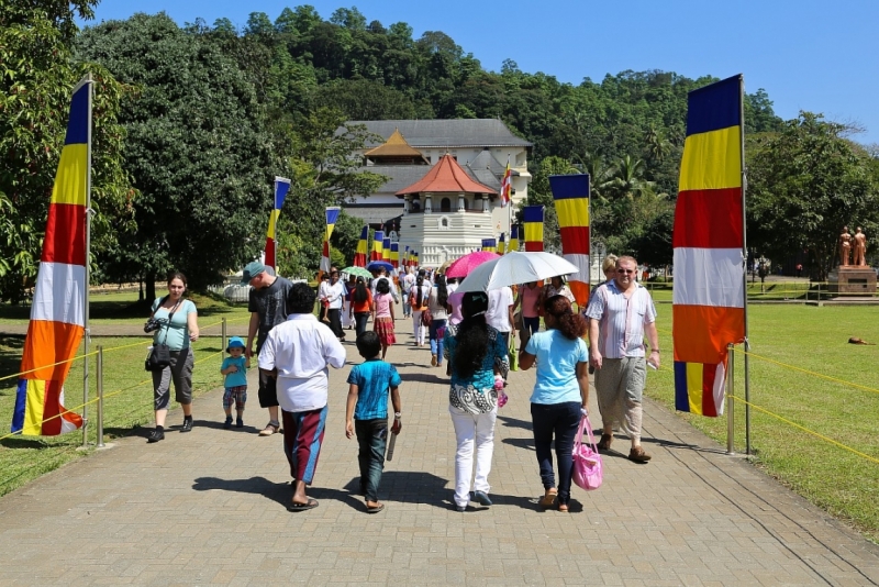 21 день по Шри-Ланке на машине