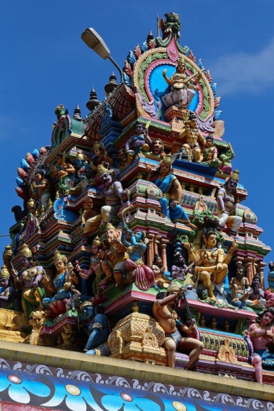 21 день по Шри-Ланке на машине