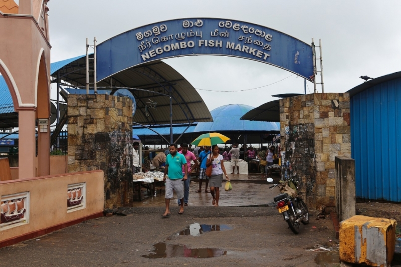 21 день по Шри-Ланке на машине