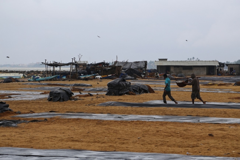 21 день по Шри-Ланке на машине