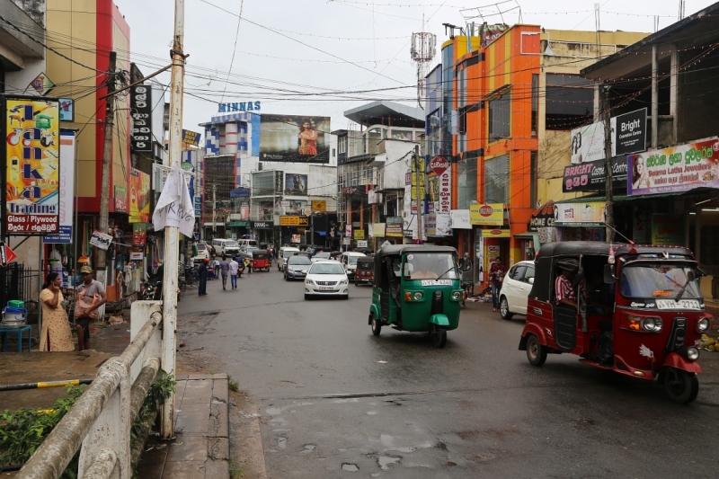 21 день по Шри-Ланке на машине