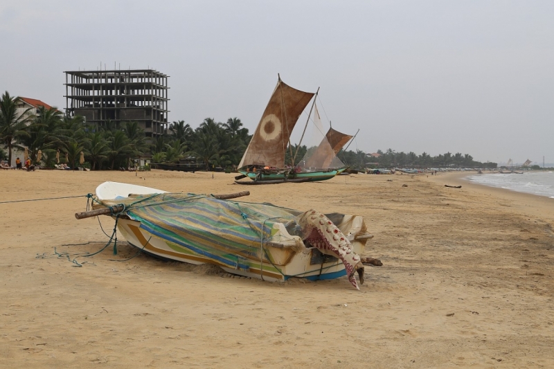 21 день по Шри-Ланке на машине