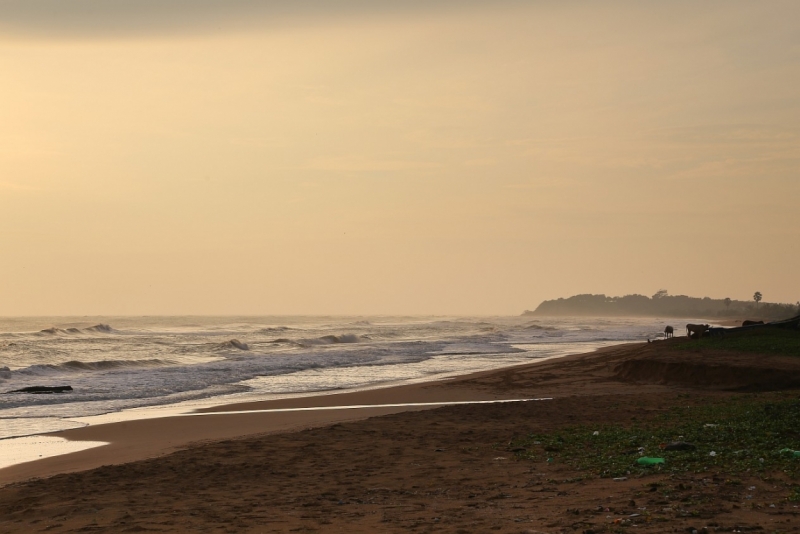 21 день по Шри-Ланке на машине