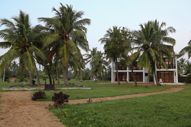 21 день по Шри-Ланке на машине