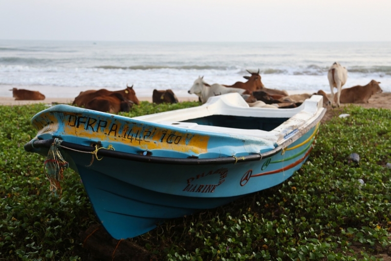 21 день по Шри-Ланке на машине