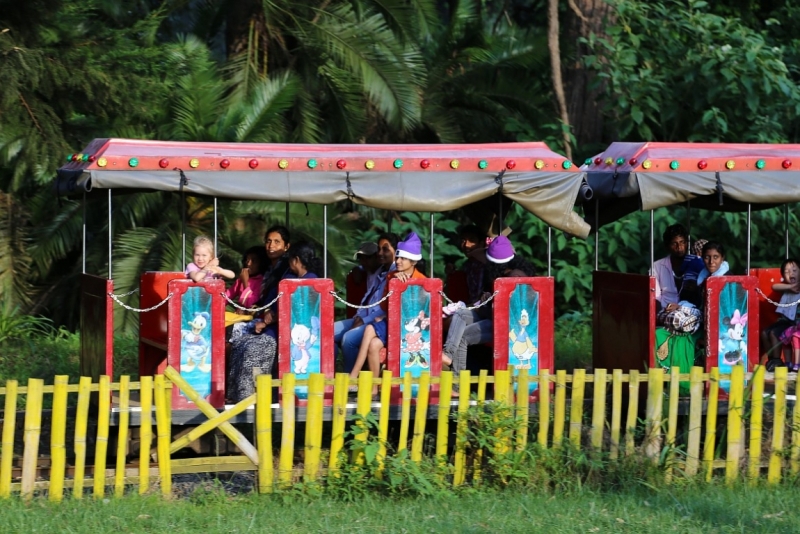 21 день по Шри-Ланке на машине