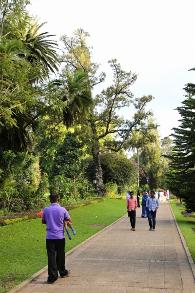 21 день по Шри-Ланке на машине