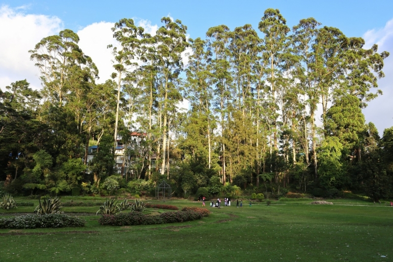 21 день по Шри-Ланке на машине