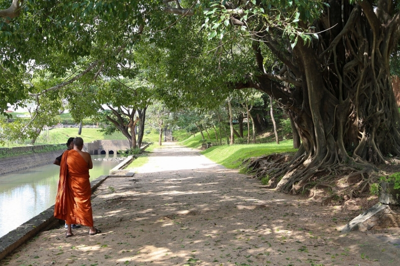 21 день по Шри-Ланке на машине