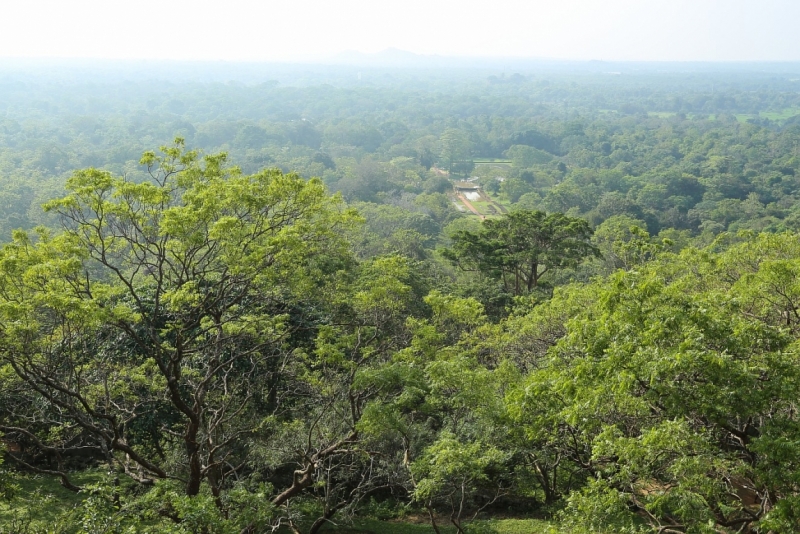 21 день по Шри-Ланке на машине