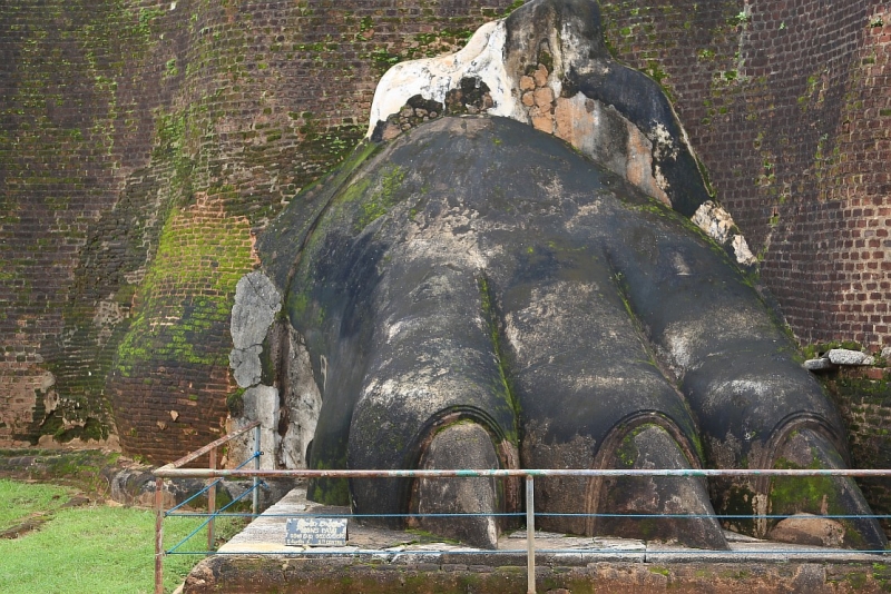 21 день по Шри-Ланке на машине