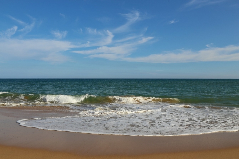 21 день по Шри-Ланке на машине