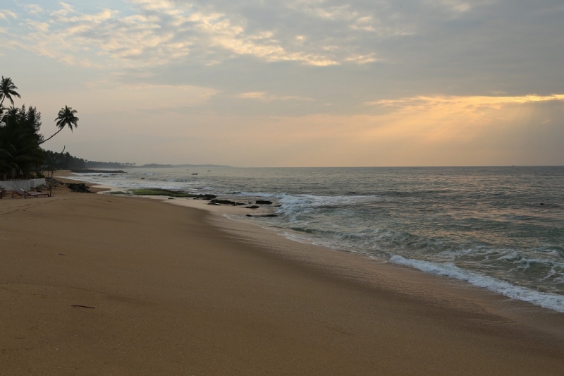 21 день по Шри-Ланке на машине