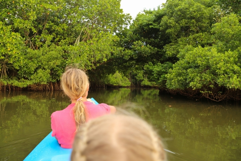 21 день по Шри-Ланке на машине