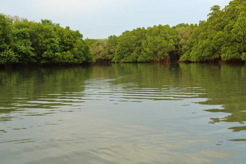 21 день по Шри-Ланке на машине
