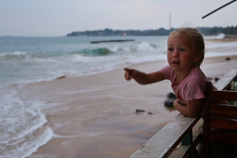 21 день по Шри-Ланке на машине