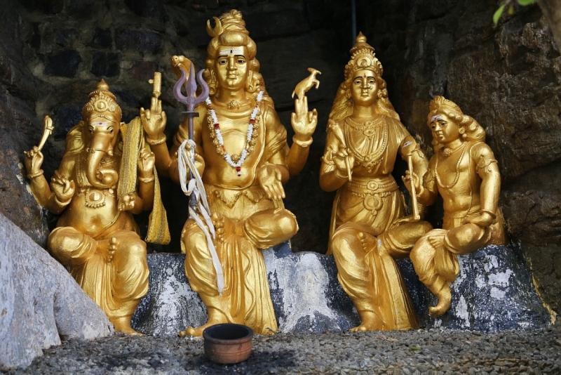 21 день по Шри-Ланке на машине