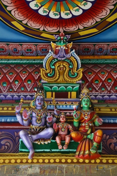 21 день по Шри-Ланке на машине