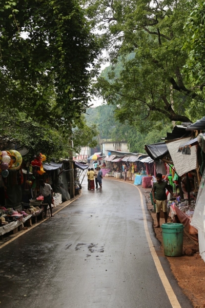 21 день по Шри-Ланке на машине