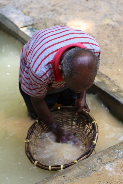 21 день по Шри-Ланке на машине