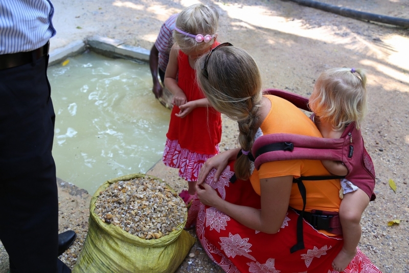 21 день по Шри-Ланке на машине