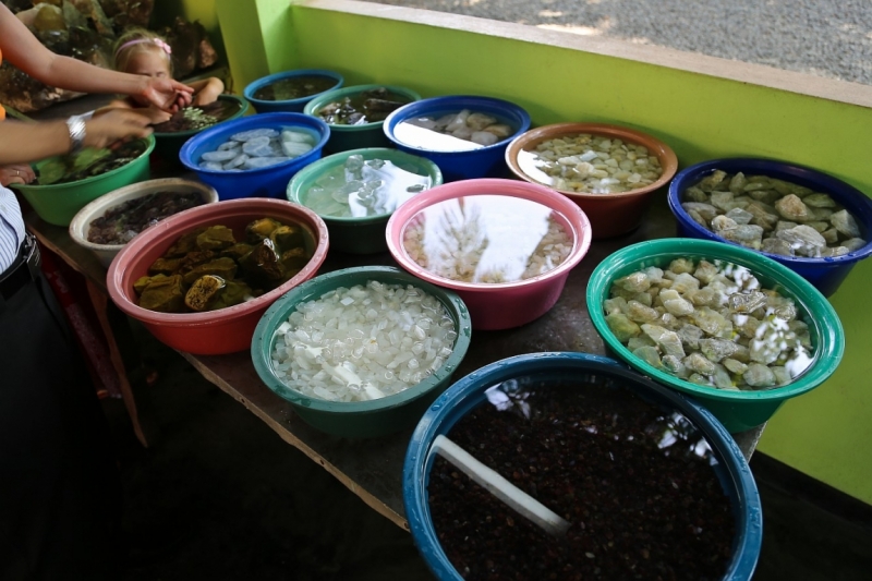 21 день по Шри-Ланке на машине