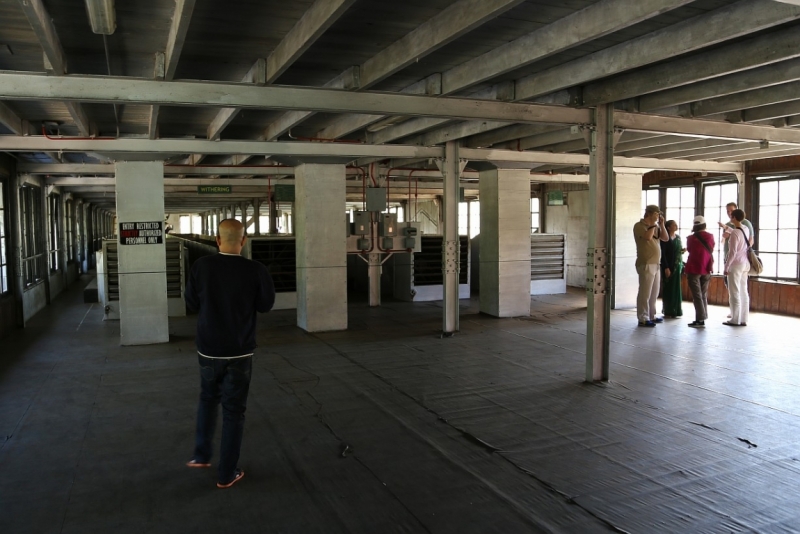 21 день по Шри-Ланке на машине