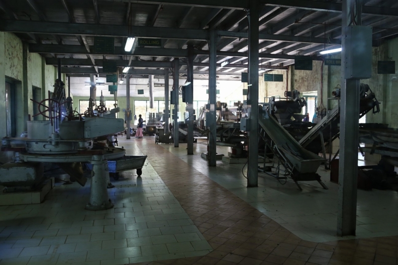 21 день по Шри-Ланке на машине