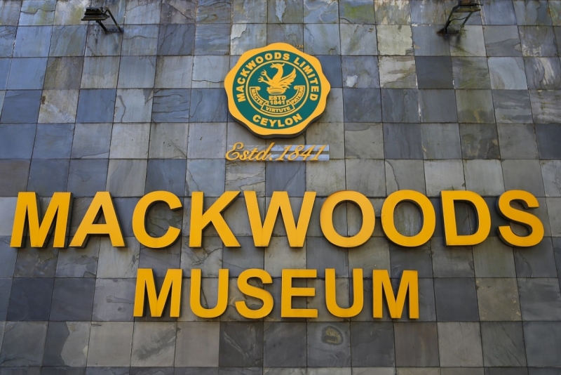 21 день по Шри-Ланке на машине