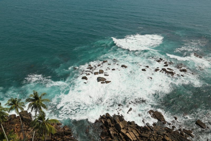 21 день по Шри-Ланке на машине