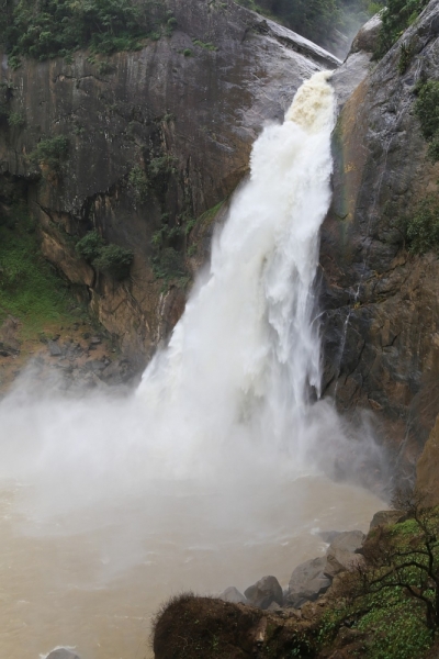 21 день по Шри-Ланке на машине