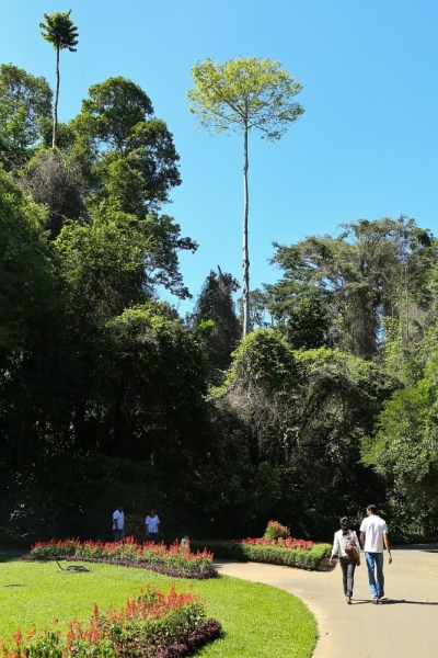 21 день по Шри-Ланке на машине