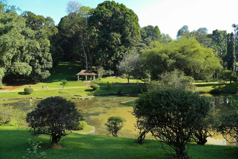 21 день по Шри-Ланке на машине