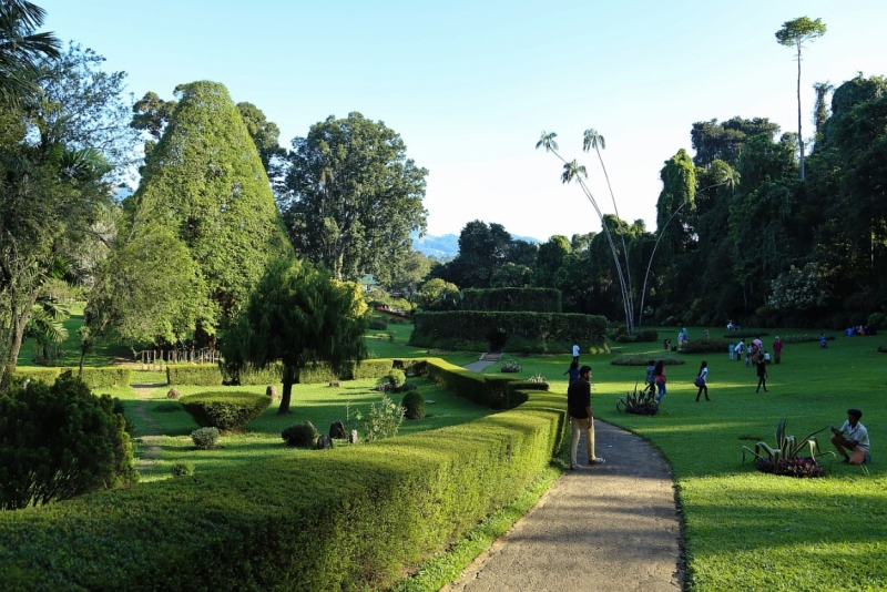 21 день по Шри-Ланке на машине