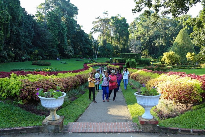 21 день по Шри-Ланке на машине