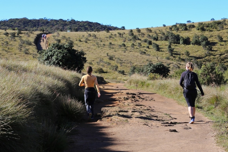 21 день по Шри-Ланке на машине