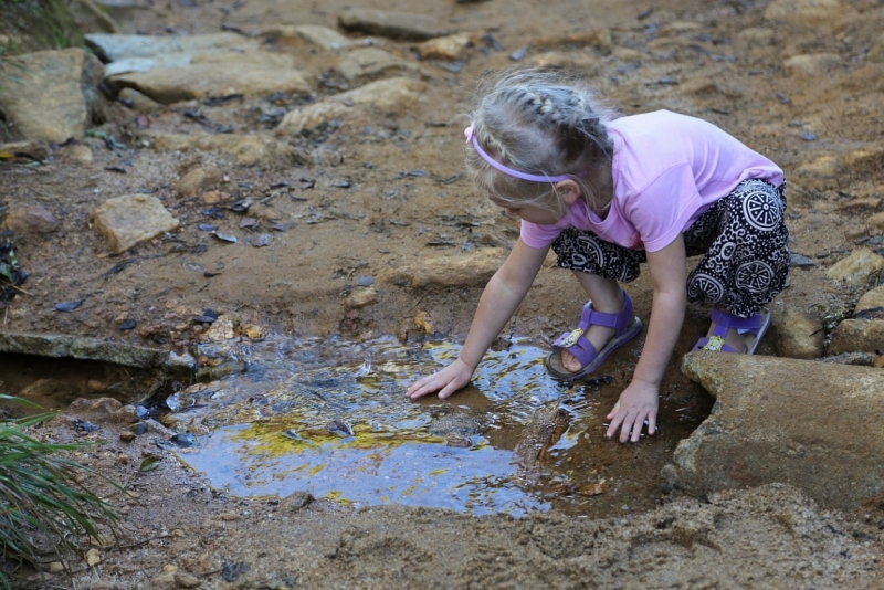 21 день по Шри-Ланке на машине