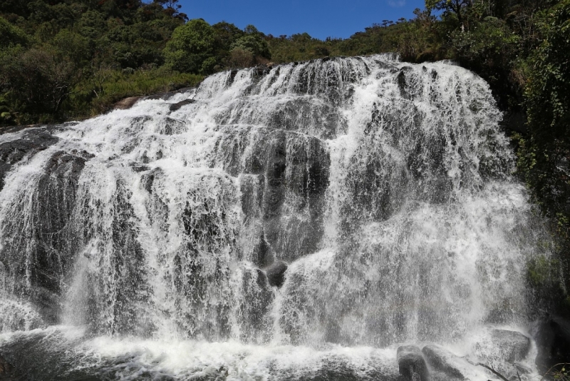 21 день по Шри-Ланке на машине