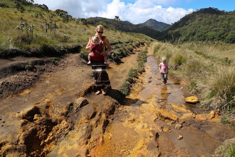 21 день по Шри-Ланке на машине
