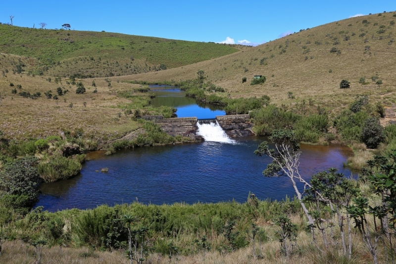 21 день по Шри-Ланке на машине