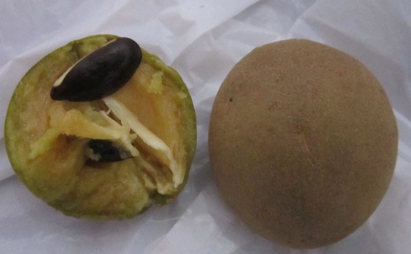 Индия (север: Варанаси, Бодхгая, Дармсала)