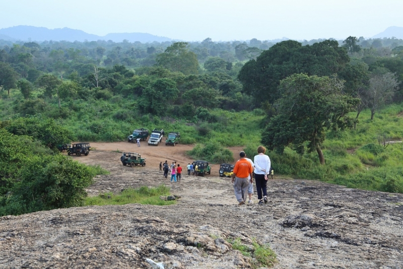 21 день по Шри-Ланке на машине