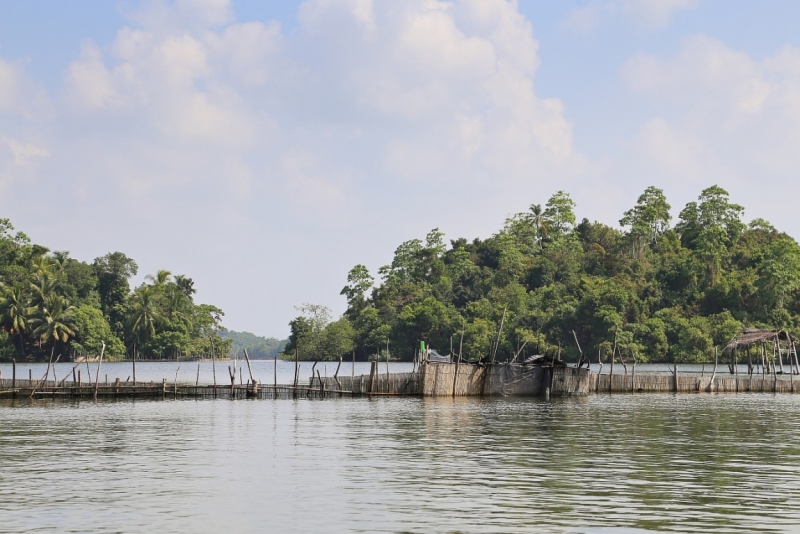 21 день по Шри-Ланке на машине