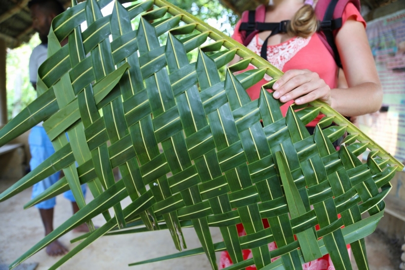 21 день по Шри-Ланке на машине